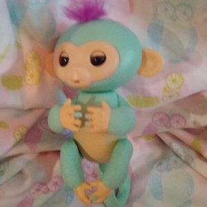 Fingerling monkey